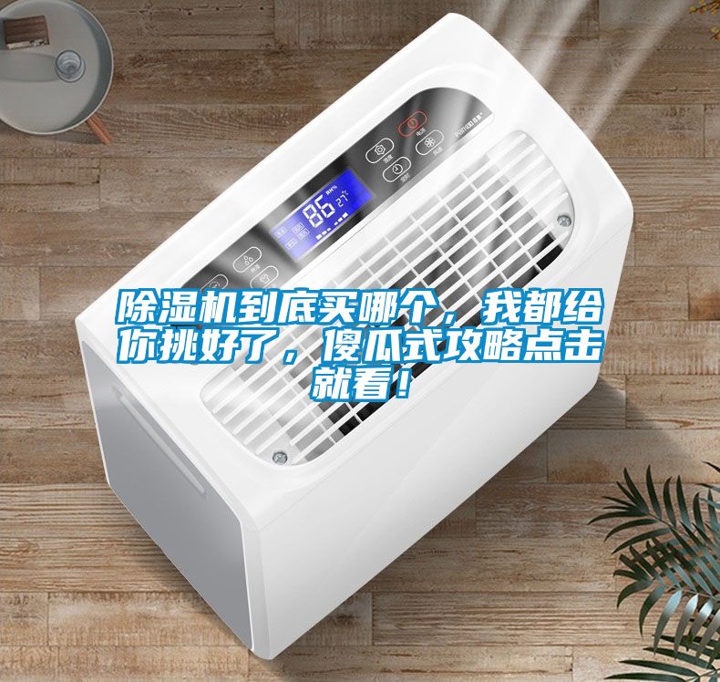 除濕機到底買哪個，我都給你挑好了，傻瓜式攻略點擊就看！