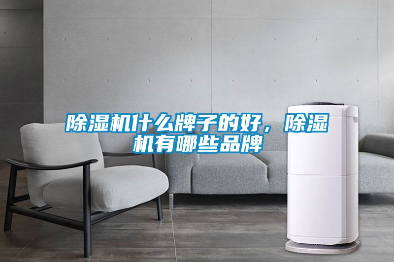 除濕機什么牌子的好，除濕機有哪些品牌