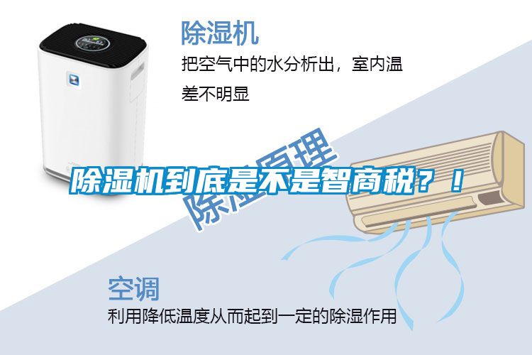 除濕機到底是不是智商稅？！