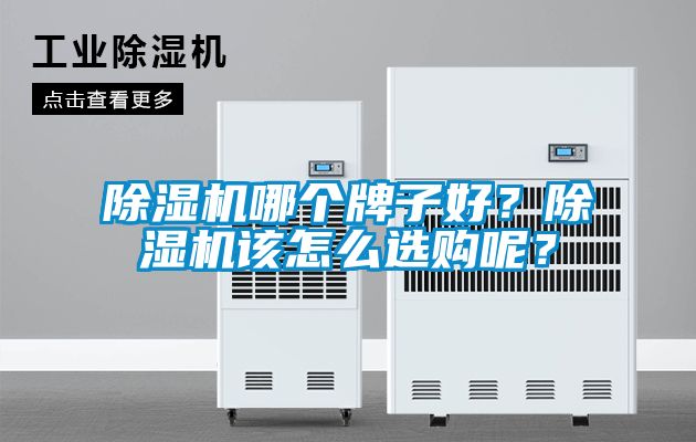 除濕機哪個牌子好？除濕機該怎么選購呢？
