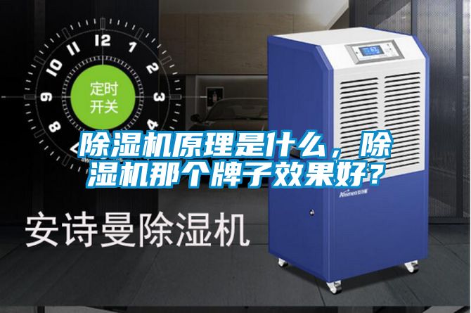 除濕機原理是什么，除濕機那個牌子效果好？
