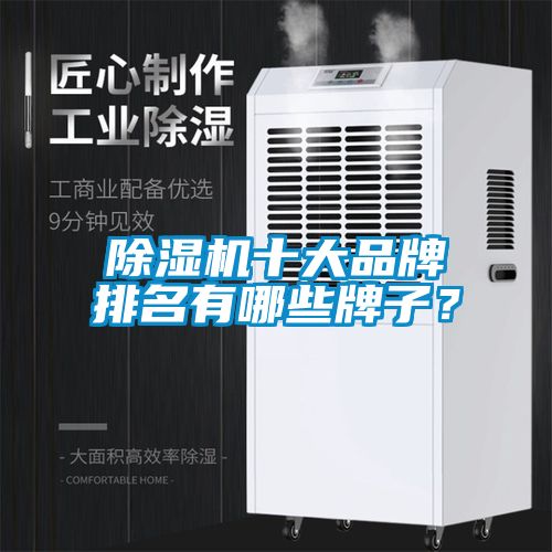 除濕機十大品牌排名有哪些牌子？