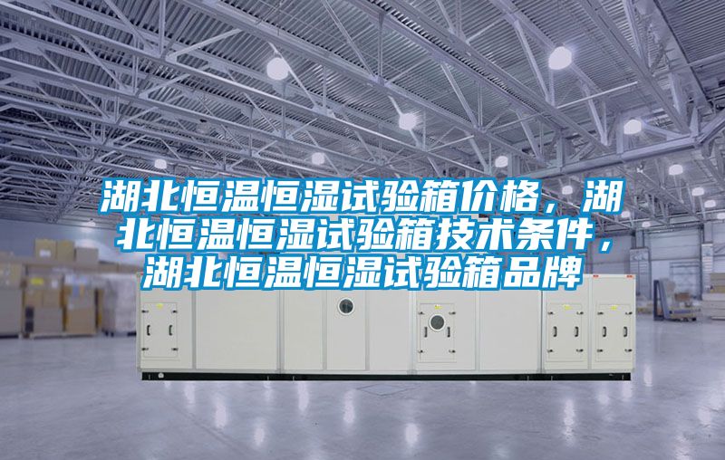 湖北恒溫恒濕試驗箱價格，湖北恒溫恒濕試驗箱技術條件，湖北恒溫恒濕試驗箱品牌