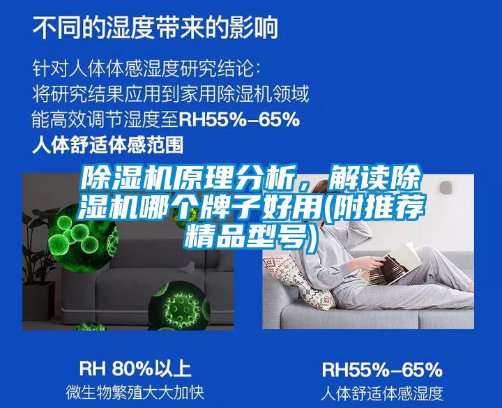 除濕機原理分析，解讀除濕機哪個牌子好用(附推薦精品型號)