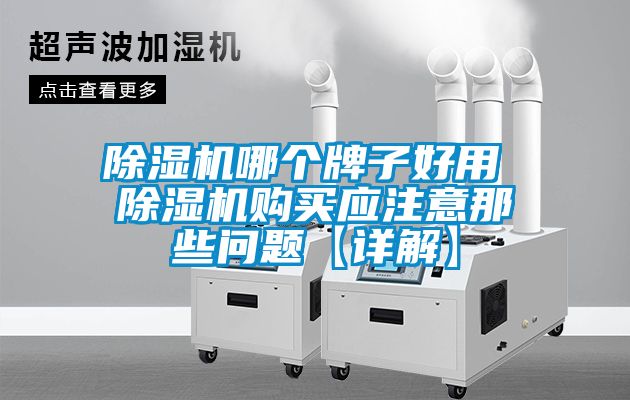 除濕機哪個牌子好用 除濕機購買應注意那些問題【詳解】