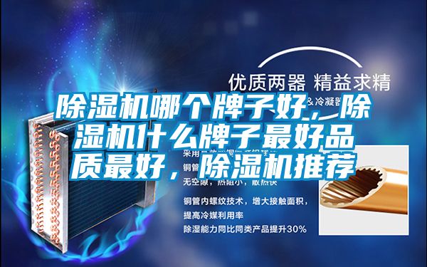 除濕機哪個牌子好，除濕機什么牌子最好品質最好，除濕機推薦