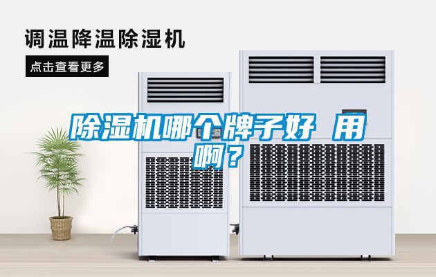 除濕機哪個牌子好 用??？