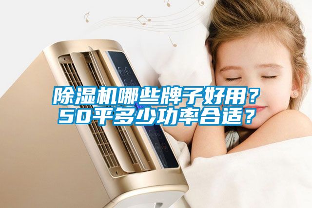 除濕機哪些牌子好用？50平多少功率合適？