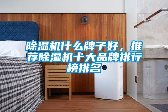 除濕機什么牌子好，推薦除濕機十大品牌排行榜排名