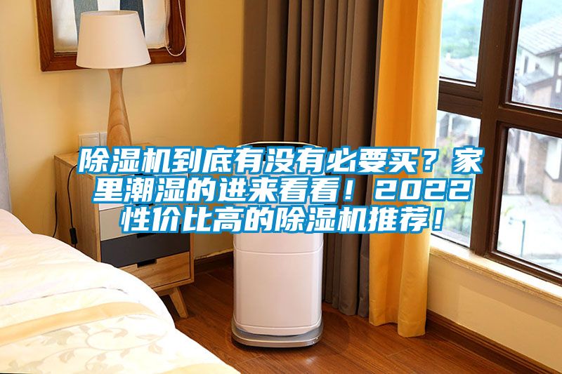 除濕機到底有沒有必要買？家里潮濕的進來看看！2022性價比高的除濕機推薦！