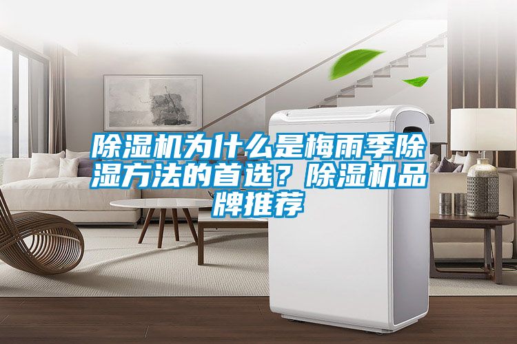 除濕機為什么是梅雨季除濕方法的首選？除濕機品牌推薦