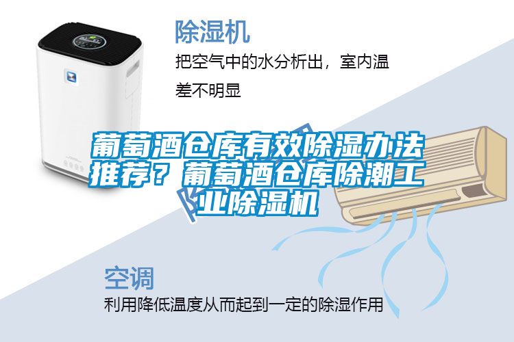 葡萄酒倉庫有效除濕辦法推薦？葡萄酒倉庫除潮工業除濕機