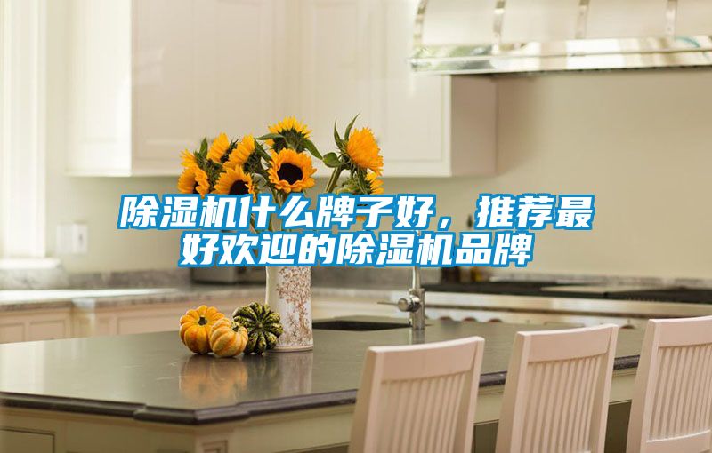除濕機什么牌子好，推薦最好歡迎的除濕機品牌