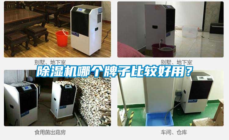 除濕機哪個牌子比較好用？