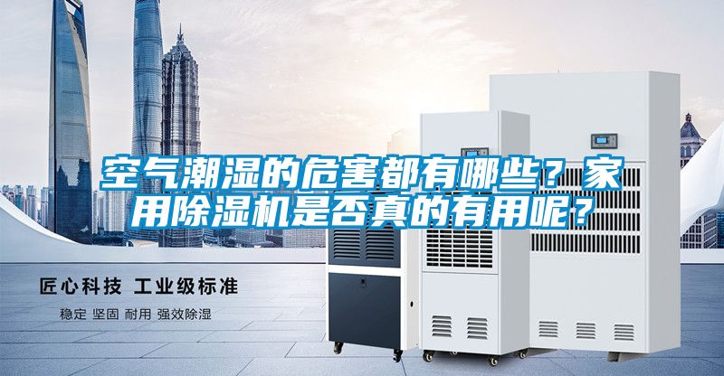 空氣潮濕的危害都有哪些？家用除濕機是否真的有用呢？