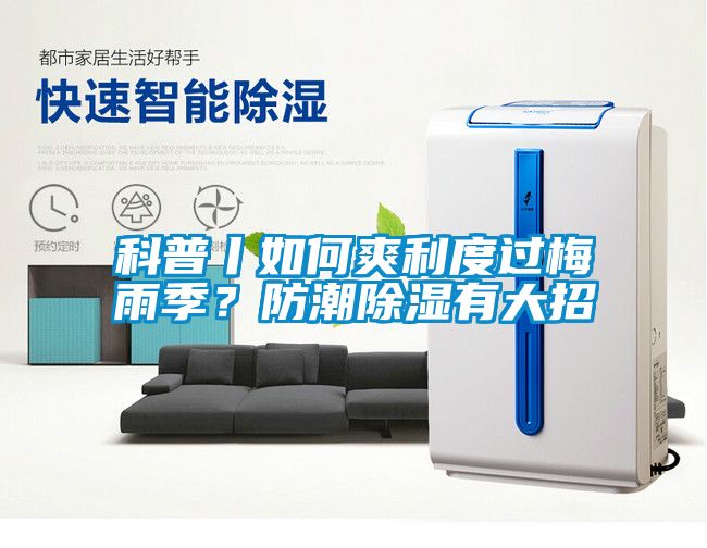 科普丨如何爽利度過梅雨季？防潮除濕有大招