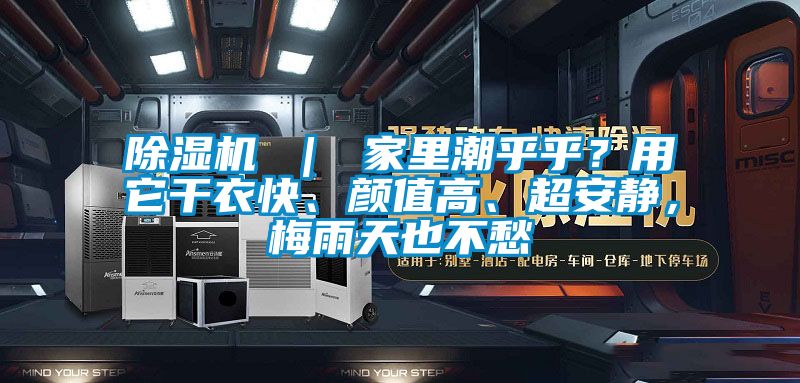 除濕機 ｜ 家里潮乎乎？用它干衣快、顏值高、超安靜，梅雨天也不愁