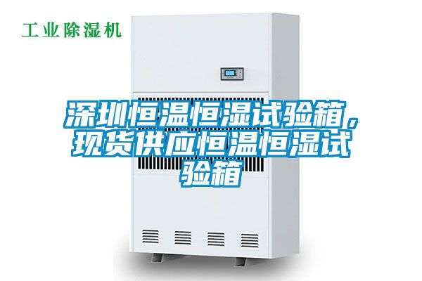 深圳恒溫恒濕試驗箱，現貨供應恒溫恒濕試驗箱
