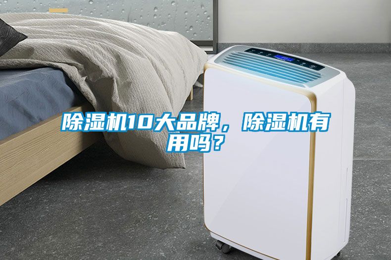 除濕機10大品牌，除濕機有用嗎？