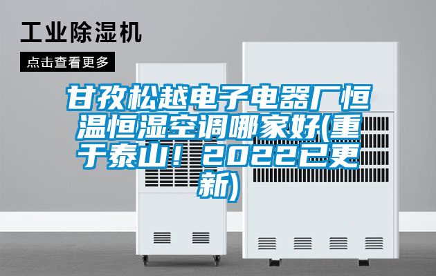 甘孜松越電子電器廠恒溫恒濕空調哪家好(重于泰山！2022已更新)