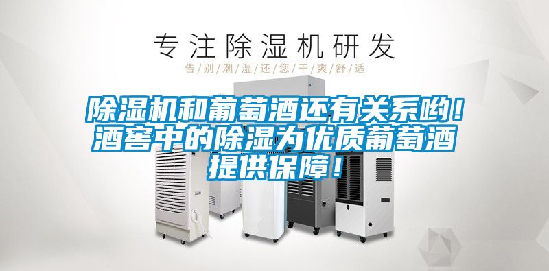 除濕機和葡萄酒還有關系喲！酒窖中的除濕為優質葡萄酒提供保障！