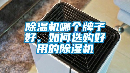 除濕機哪個牌子好，如何選購好用的除濕機