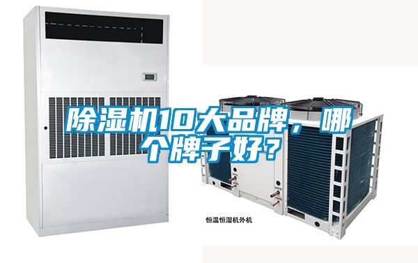 除濕機10大品牌，哪個牌子好？