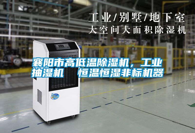 襄陽市高低溫除濕機，工業抽濕機  恒溫恒濕非標機器