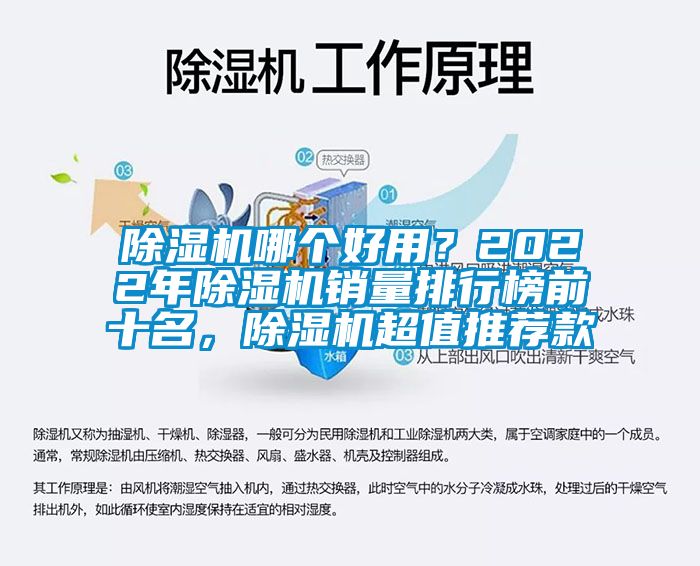 除濕機哪個好用？2022年除濕機銷量排行榜前十名，除濕機超值推薦款
