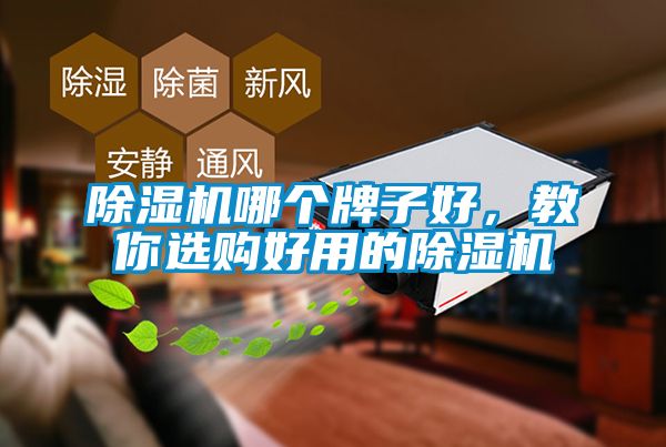 除濕機哪個牌子好，教你選購好用的除濕機