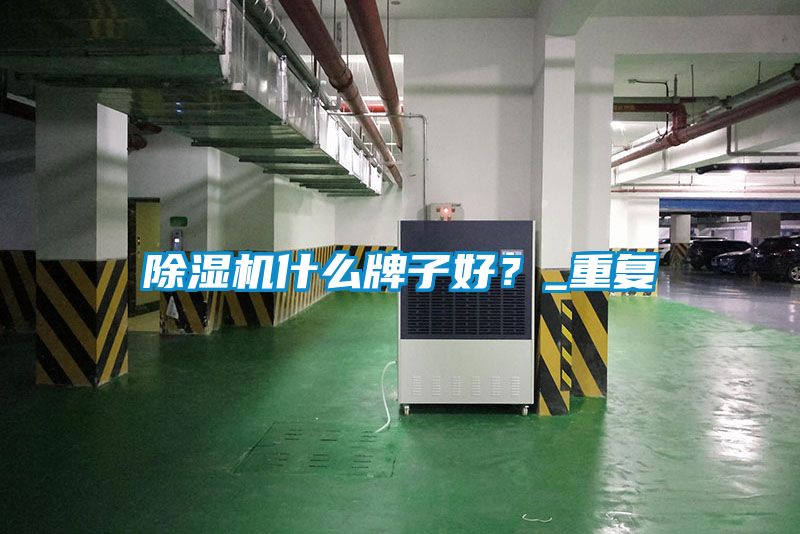 除濕機什么牌子好？_重復
