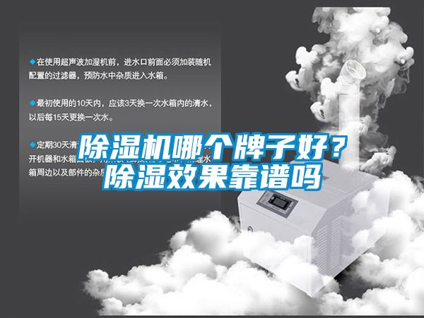 除濕機哪個牌子好？除濕效果靠譜嗎