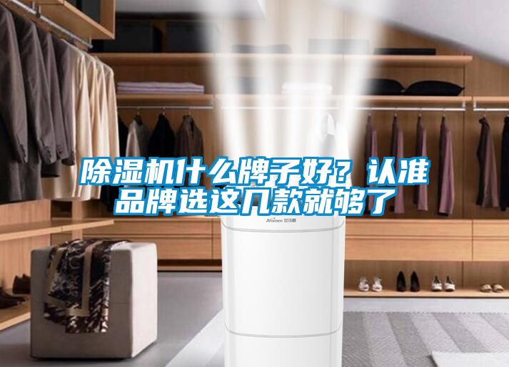 除濕機什么牌子好？認準品牌選這幾款就夠了