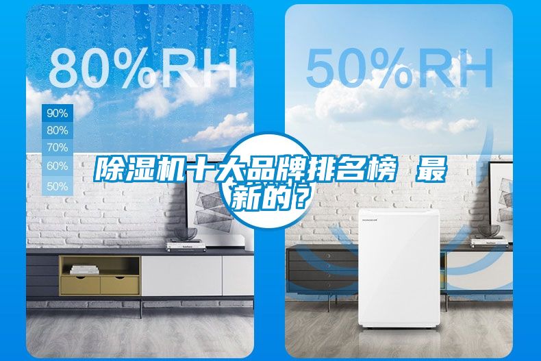 除濕機十大品牌排名榜 最新的？