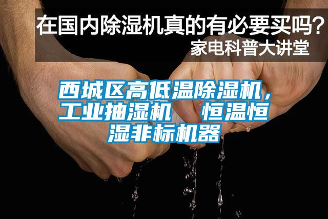 西城區高低溫除濕機，工業抽濕機  恒溫恒濕非標機器