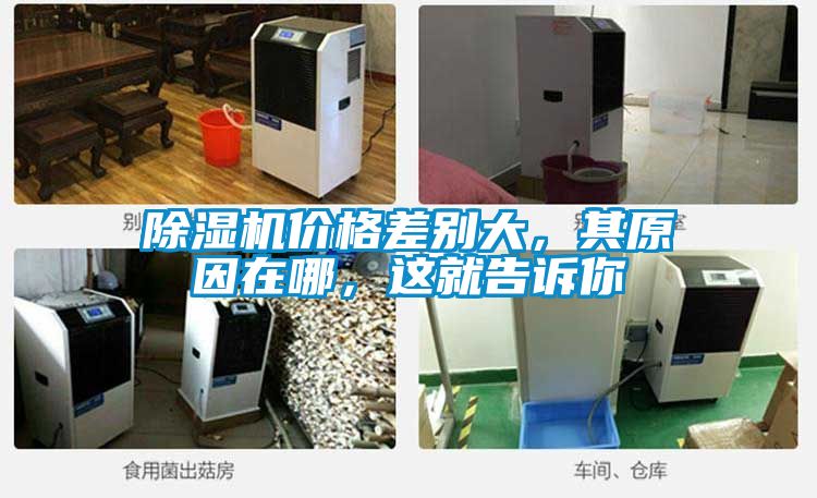除濕機價格差別大，其原因在哪，這就告訴你