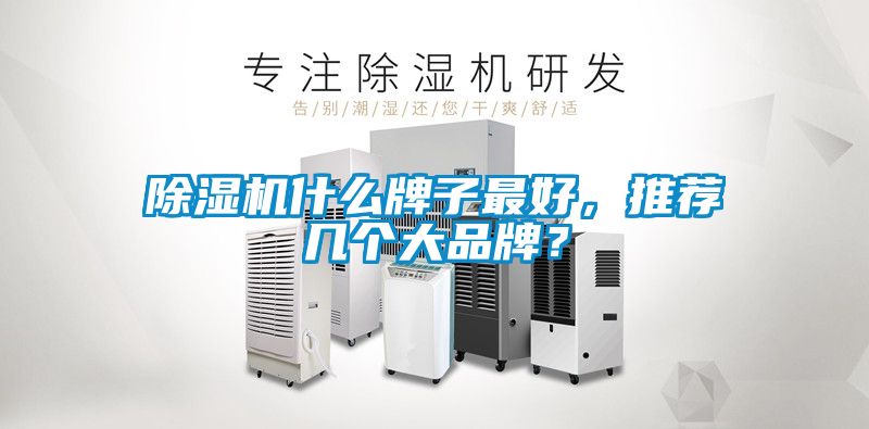 除濕機什么牌子最好，推薦幾個大品牌？