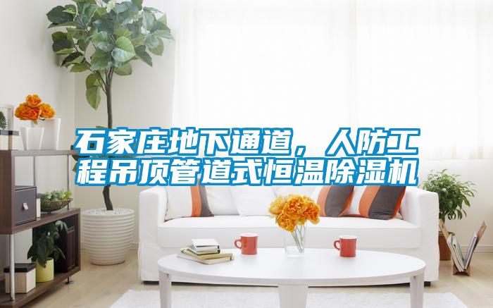 石家莊地下通道，人防工程吊頂管道式恒溫除濕機