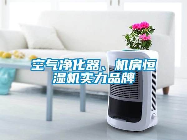 空氣凈化器、機房恒濕機實力品牌