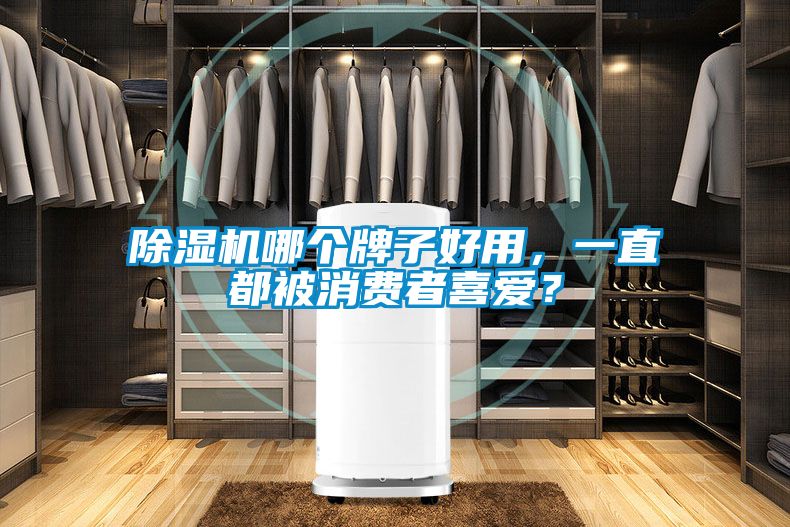 除濕機哪個牌子好用，一直都被消費者喜愛？
