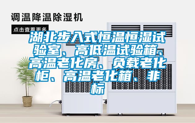 湖北步入式恒溫恒濕試驗室、高低溫試驗箱、高溫老化房、負載老化柜、高溫老化箱、非標