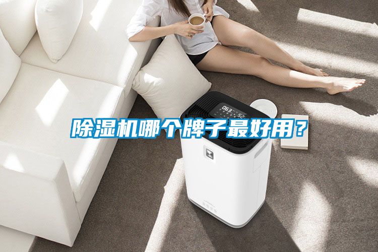 除濕機哪個牌子最好用？
