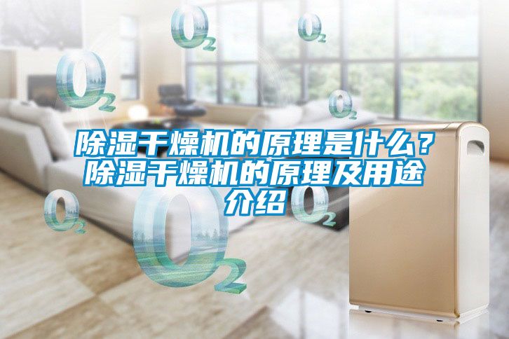 除濕干燥機的原理是什么？除濕干燥機的原理及用途介紹