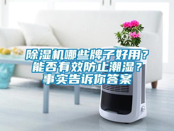 除濕機哪些牌子好用？能否有效防止潮濕？事實告訴你答案