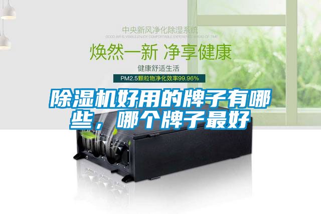 除濕機好用的牌子有哪些，哪個牌子最好