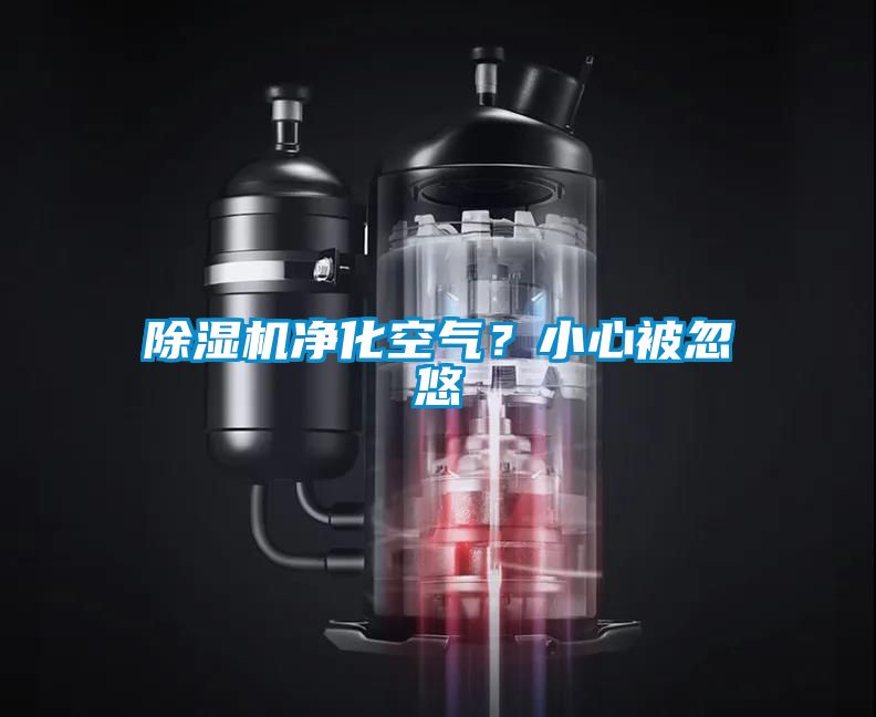 除濕機凈化空氣？小心被忽悠