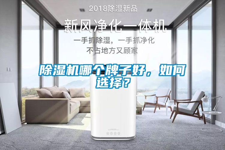 除濕機哪個牌子好，如何選擇？