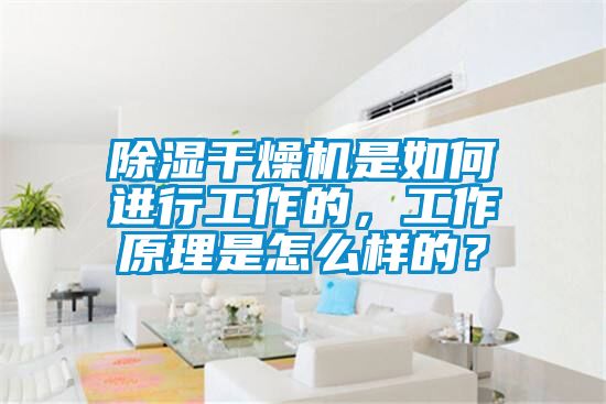 除濕干燥機是如何進行工作的，工作原理是怎么樣的？