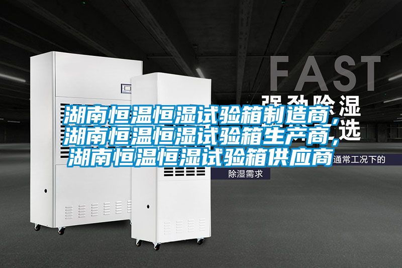 湖南恒溫恒濕試驗箱制造商，湖南恒溫恒濕試驗箱生產商，湖南恒溫恒濕試驗箱供應商
