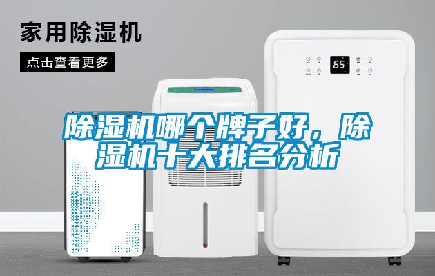 除濕機哪個牌子好，除濕機十大排名分析
